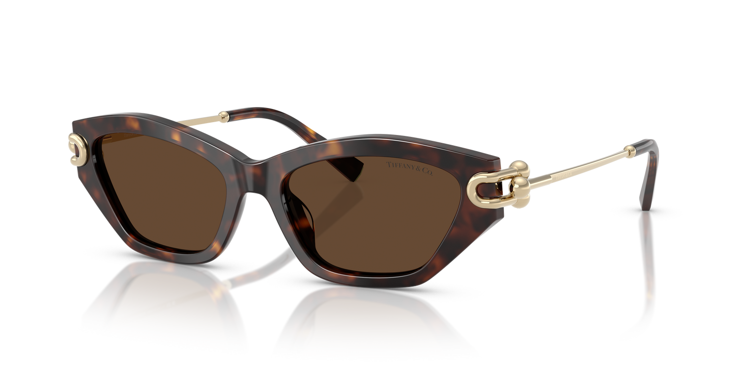 TIFFANY TF4231U 80153G 53