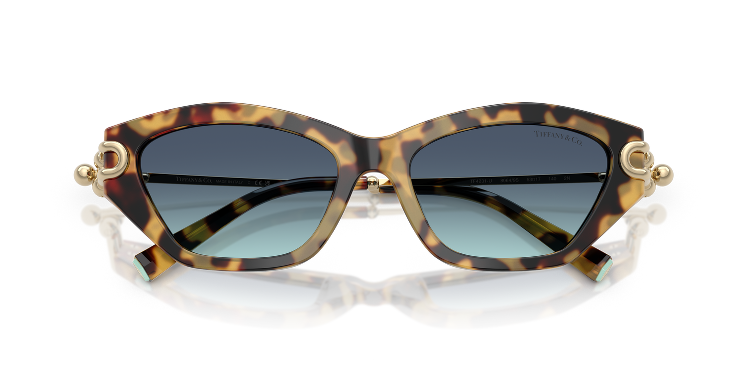 TIFFANY TF4231U 80649S 53