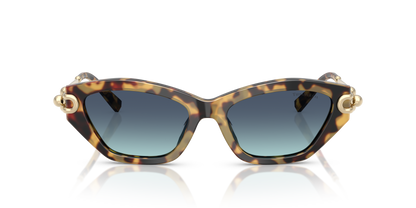 TIFFANY TF4231U 80649S 53