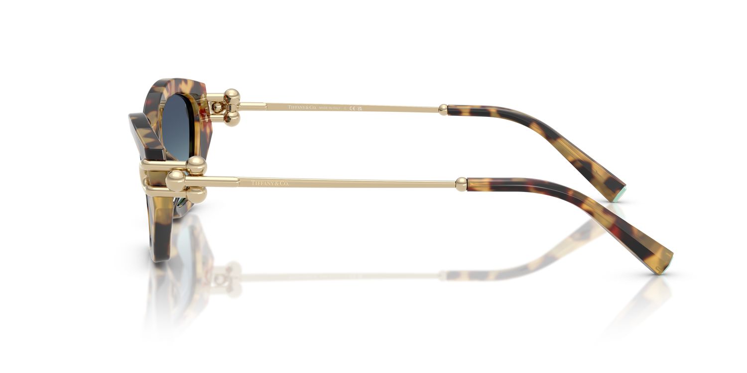 TIFFANY TF4231U 80649S 53
