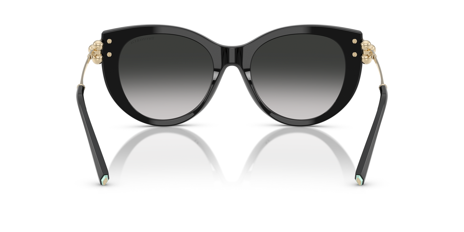 TIFFANY TF4232 80013C 53