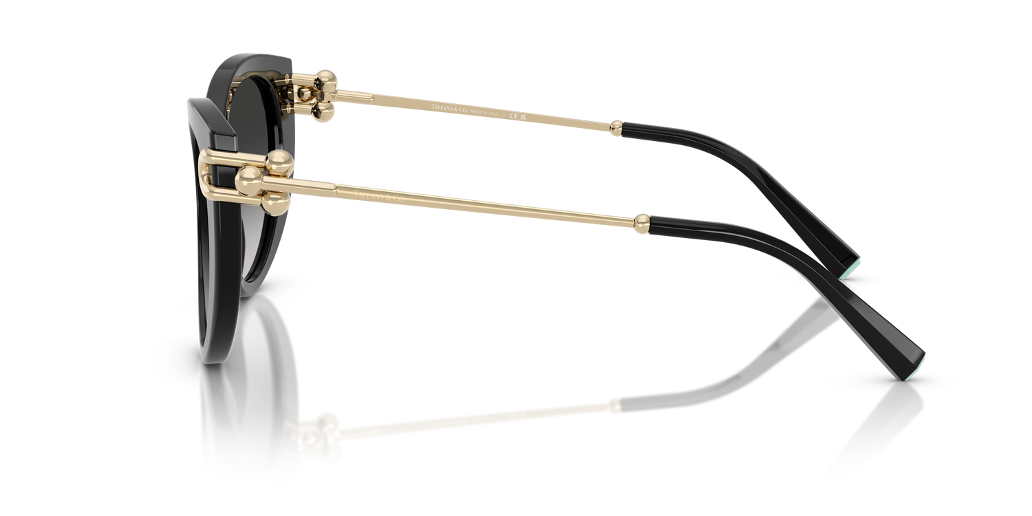 TIFFANY TF4232 80013C 53