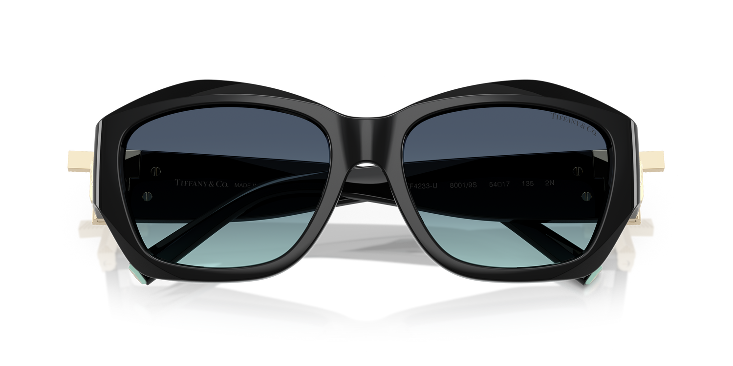 TIFFANY TF4233U 80019S 54