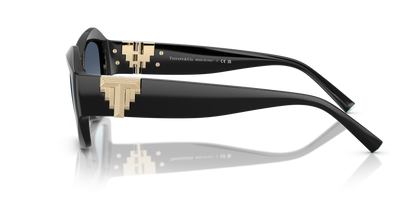 TIFFANY TF4233U 80019S 54