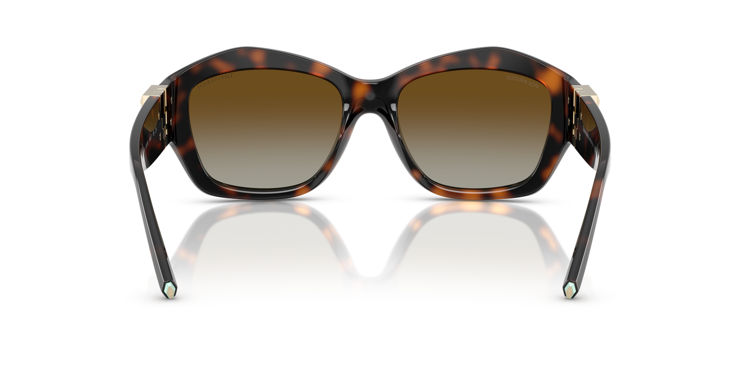 TIFFANY TF4233U 8015T5 54