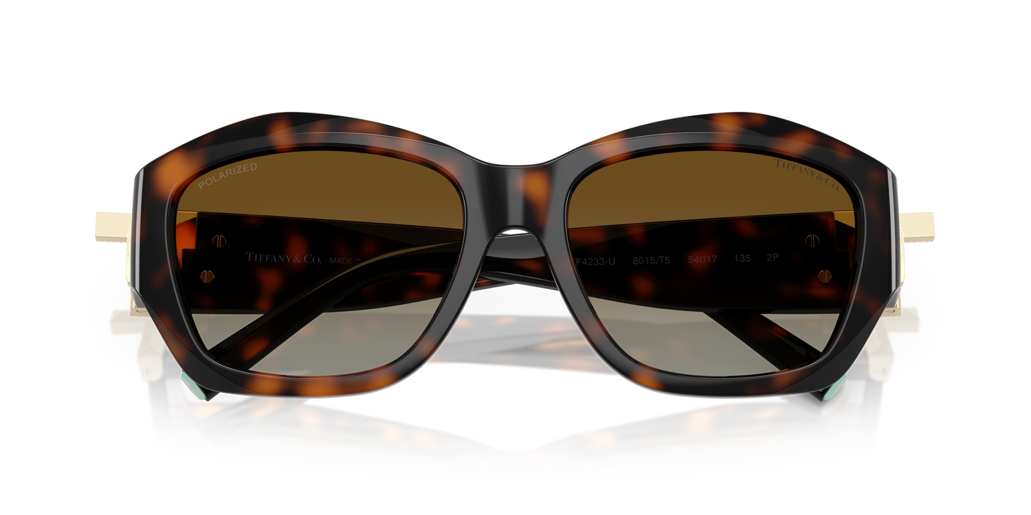TIFFANY TF4233U 8015T5 54