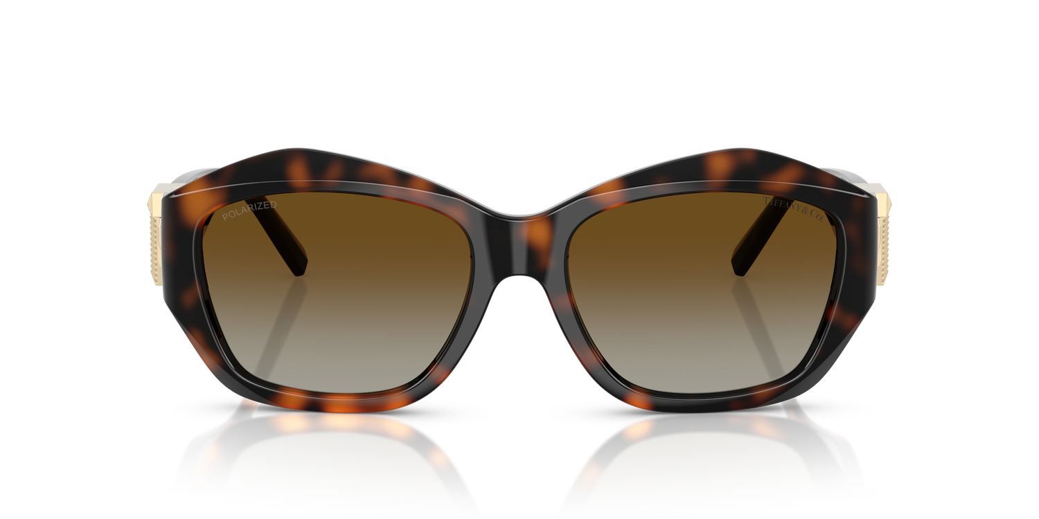 TIFFANY TF4233U 8015T5 54