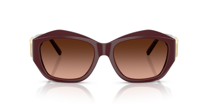 TIFFANY TF4233U 83895M 54