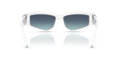 TIFFANY TF4234U 83929S 55