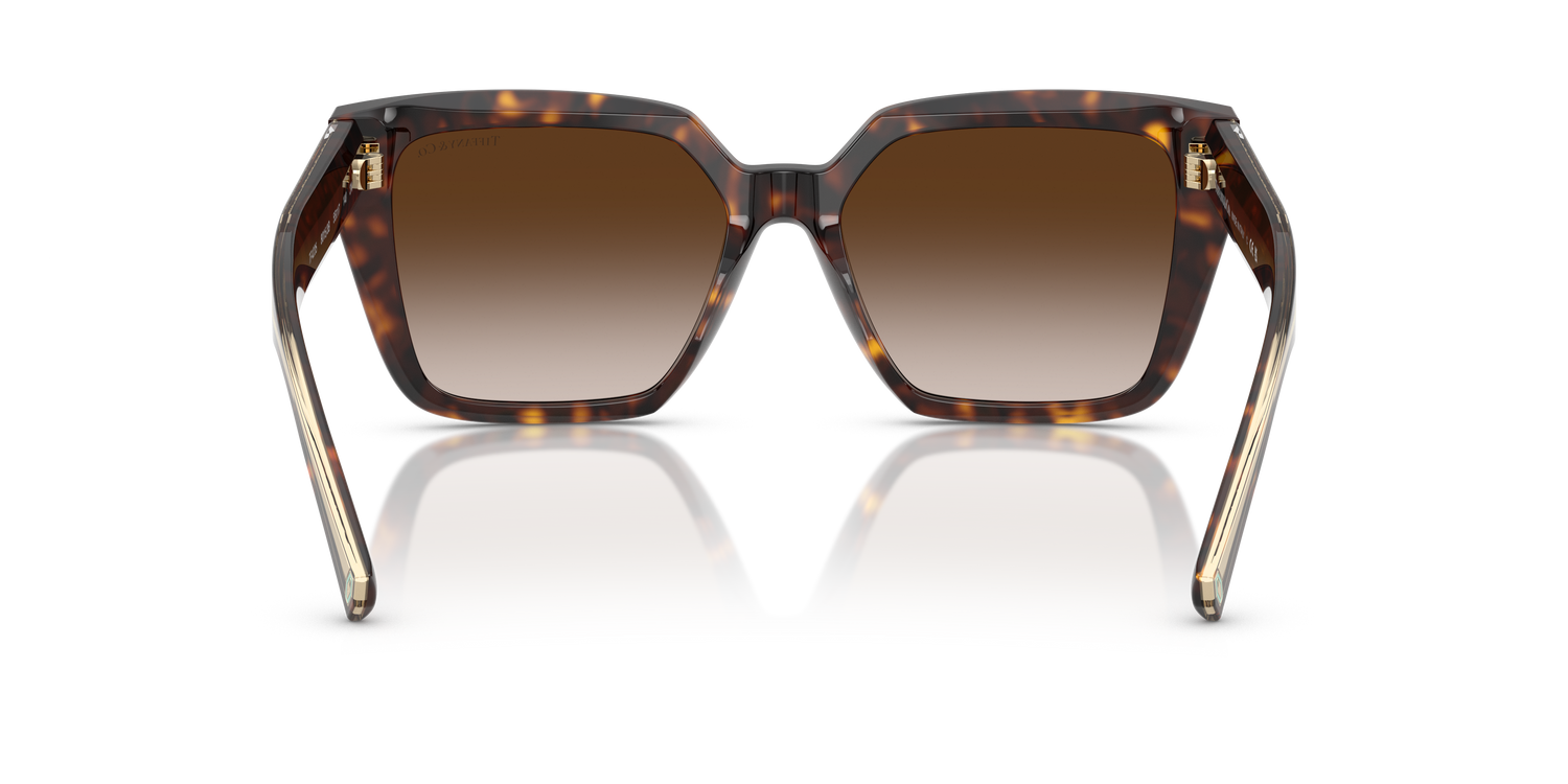 TIFFANY TF4235 80153B 55