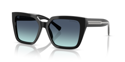 TIFFANY TF4235 83429S 55