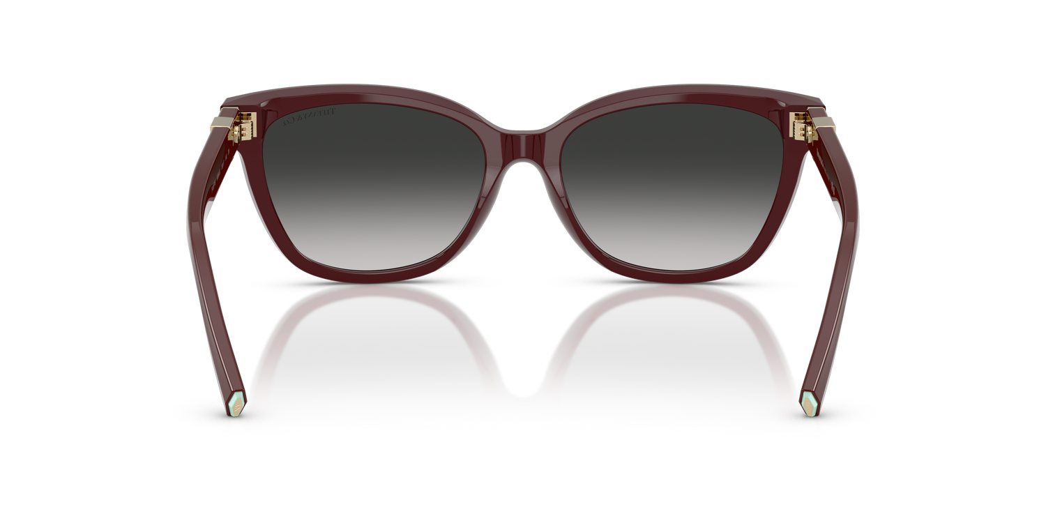 TIFFANY TF4237B 83893C 55