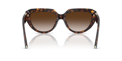 TIFFANY TF4238U 80153B 55