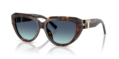 TIFFANY TF4238U 84649S 55
