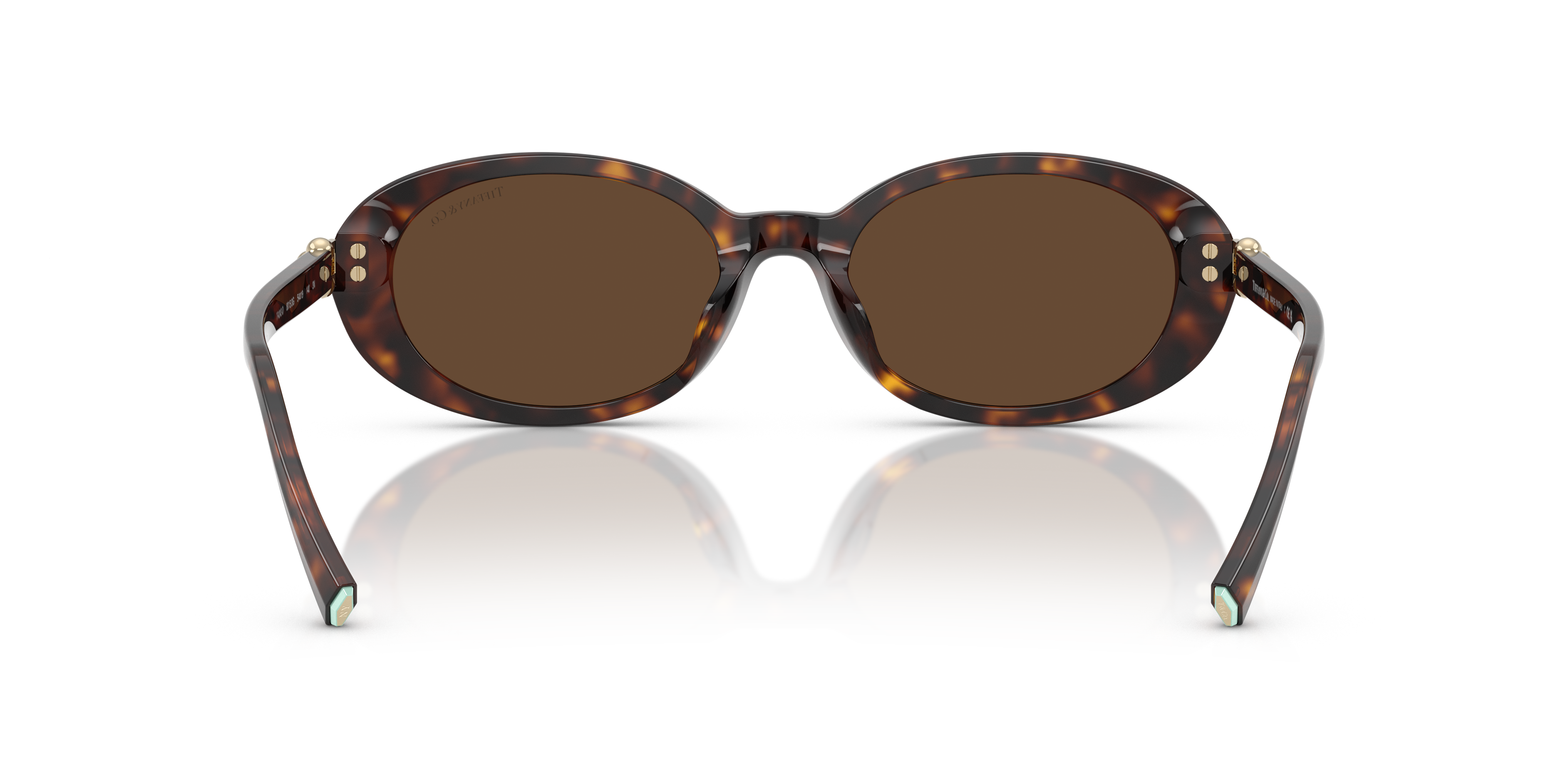 TIFFANY TF4242D 80153G 54