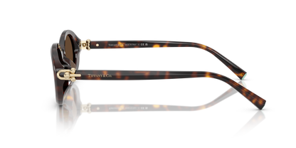 TIFFANY TF4242D 80153G 54