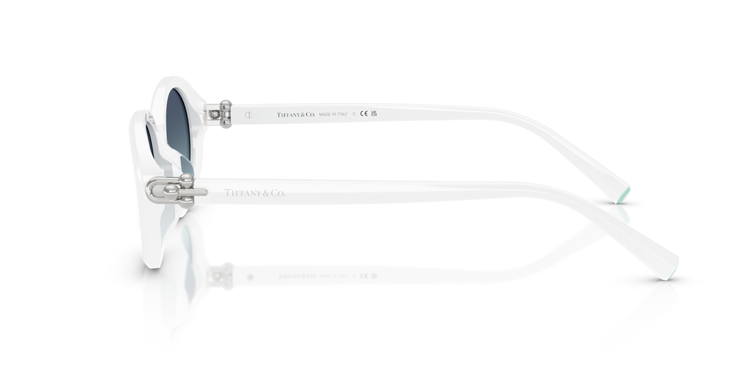 TIFFANY TF4242D 83929S 54