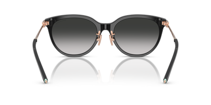 TIFFANY TF4243D 80013C 55