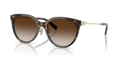 TIFFANY TF4243D 81343B 55