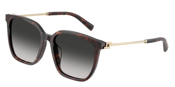 TIFFANY TF4244D 80153C 56