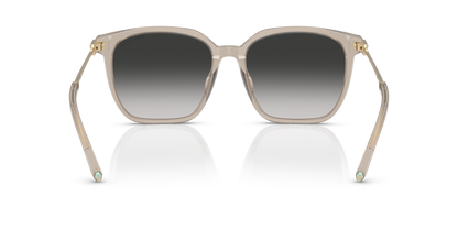 TIFFANY TF4244D 82503C 56