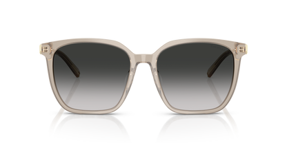 TIFFANY TF4244D 82503C 56