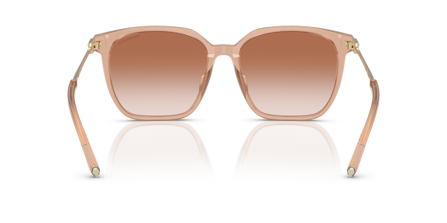 TIFFANY TF4244D 826813 56