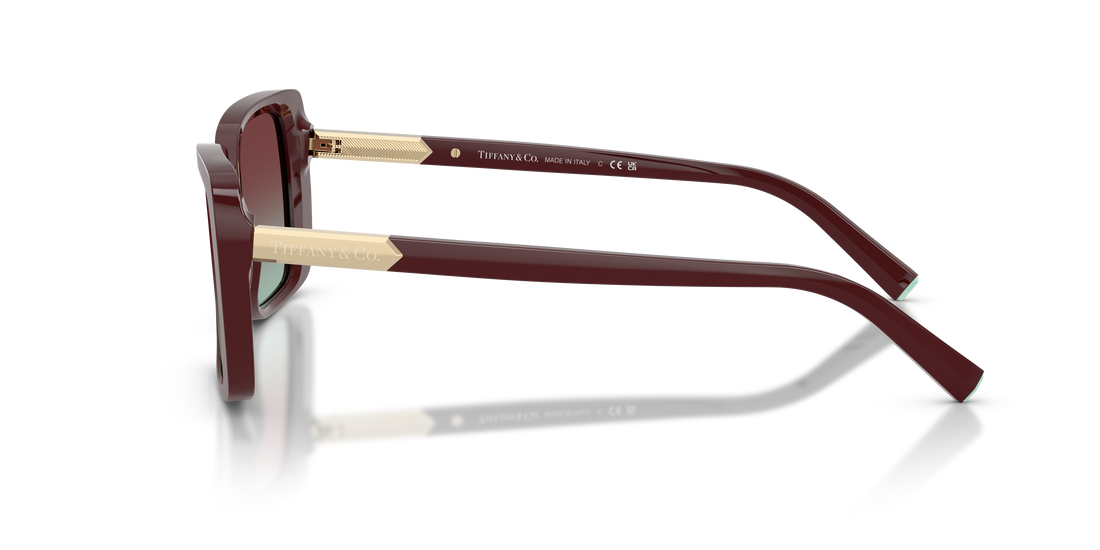TIFFANY TF4249 8389V5 55