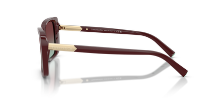 TIFFANY TF4249 8389V5 55