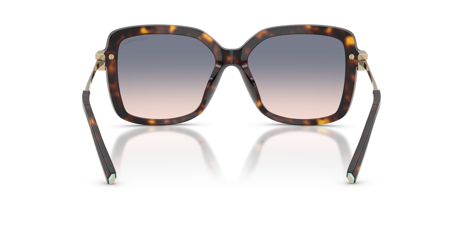 TIFFANY TF4252B 801516 55