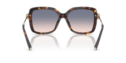 TIFFANY TF4252B 801516 55