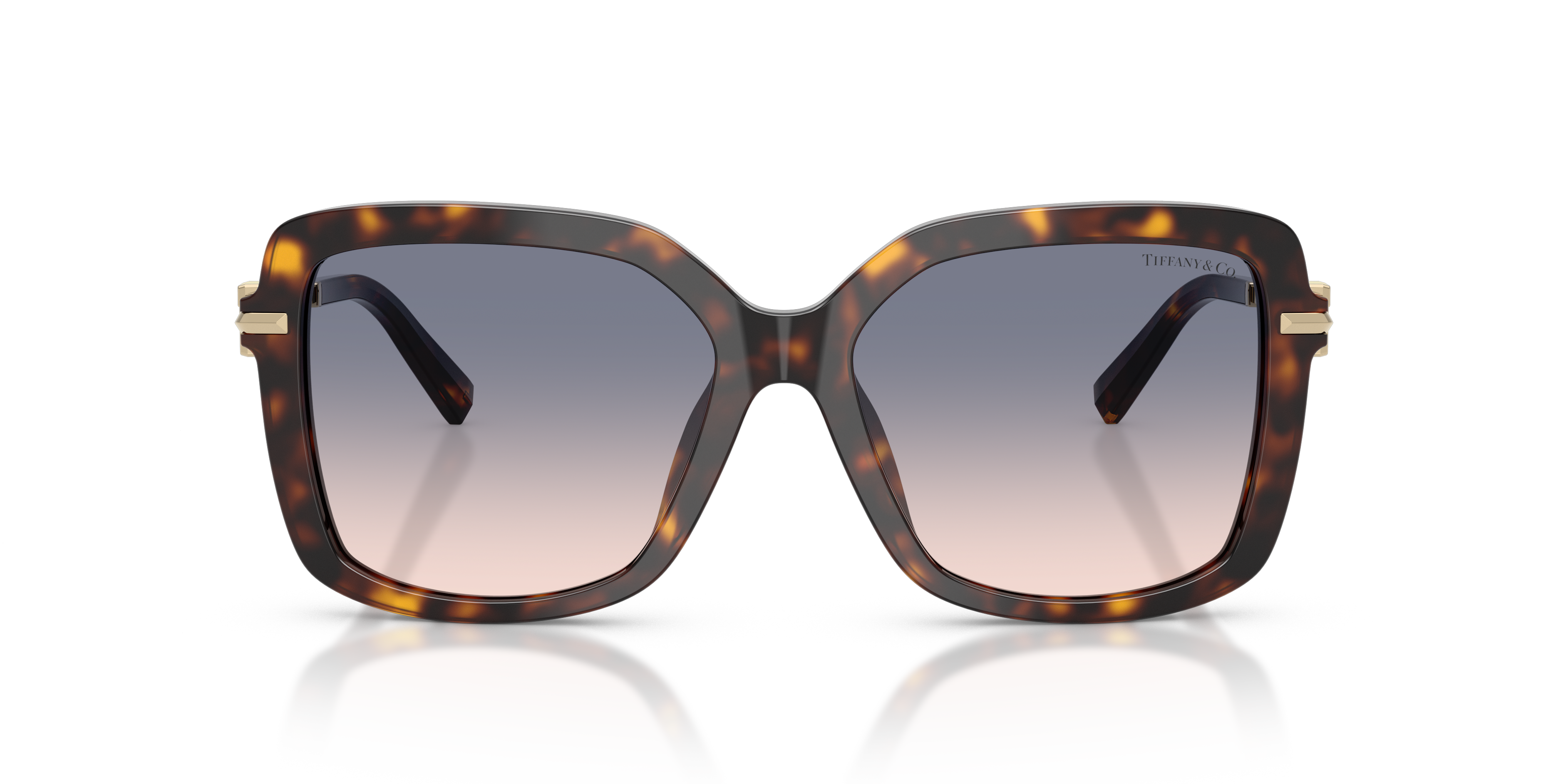 TIFFANY TF4252B 801516 55