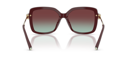 TIFFANY TF4252B 8389V5 55