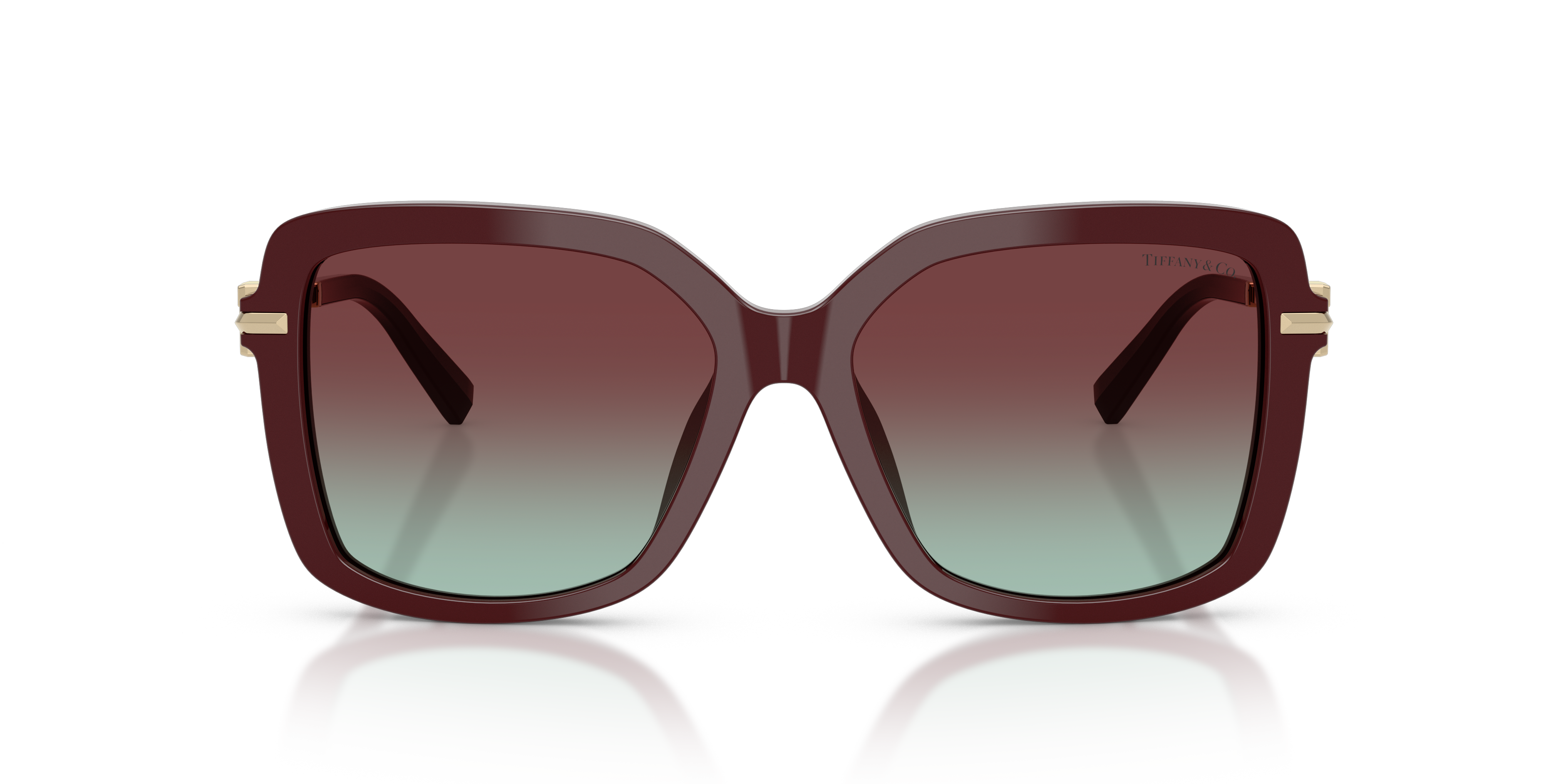 TIFFANY TF4252B 8389V5 55