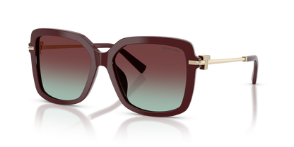 TIFFANY TF4252B 8389V5 55