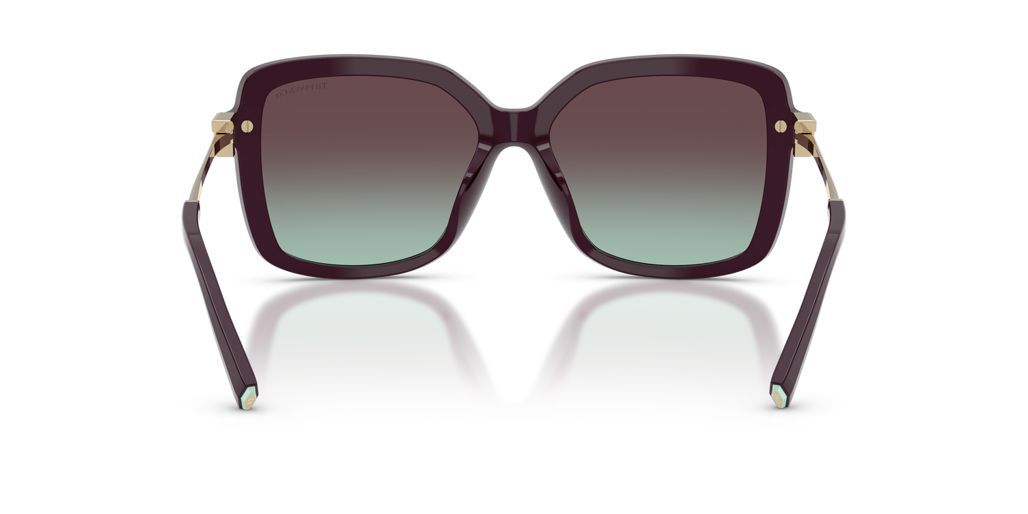 TIFFANY TF4252B 8427V7 55