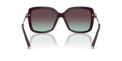 TIFFANY TF4252B 8427V7 55