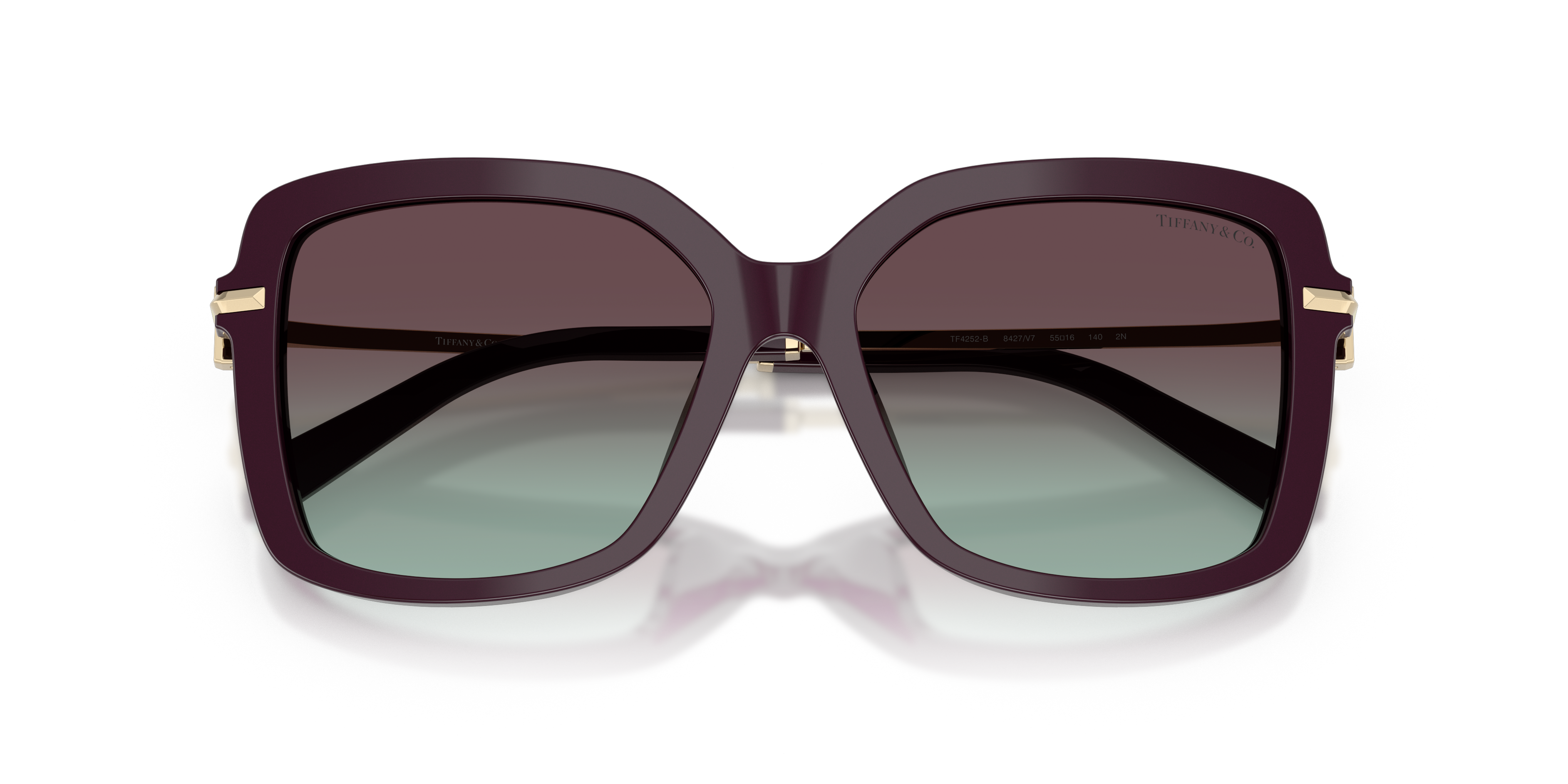 TIFFANY TF4252B 8427V7 55