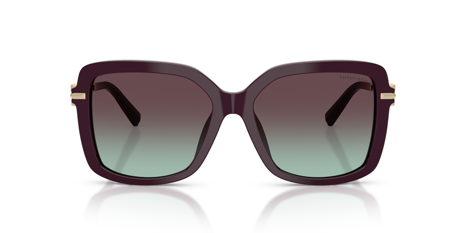 TIFFANY TF4252B 8427V7 55