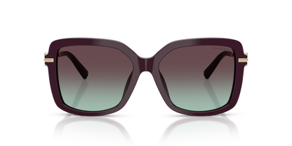 TIFFANY TF4252B 8427V7 55