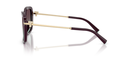 TIFFANY TF4252B 8427V7 55