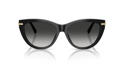 TIFFANY TF4253 80013C 55