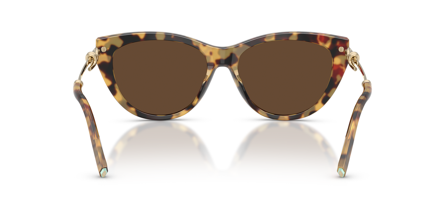 TIFFANY TF4253 80643G 55