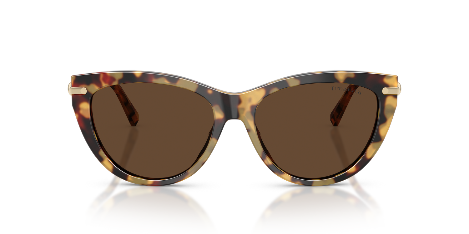 TIFFANY TF4253 80643G 55