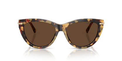 TIFFANY TF4253 80643G 55