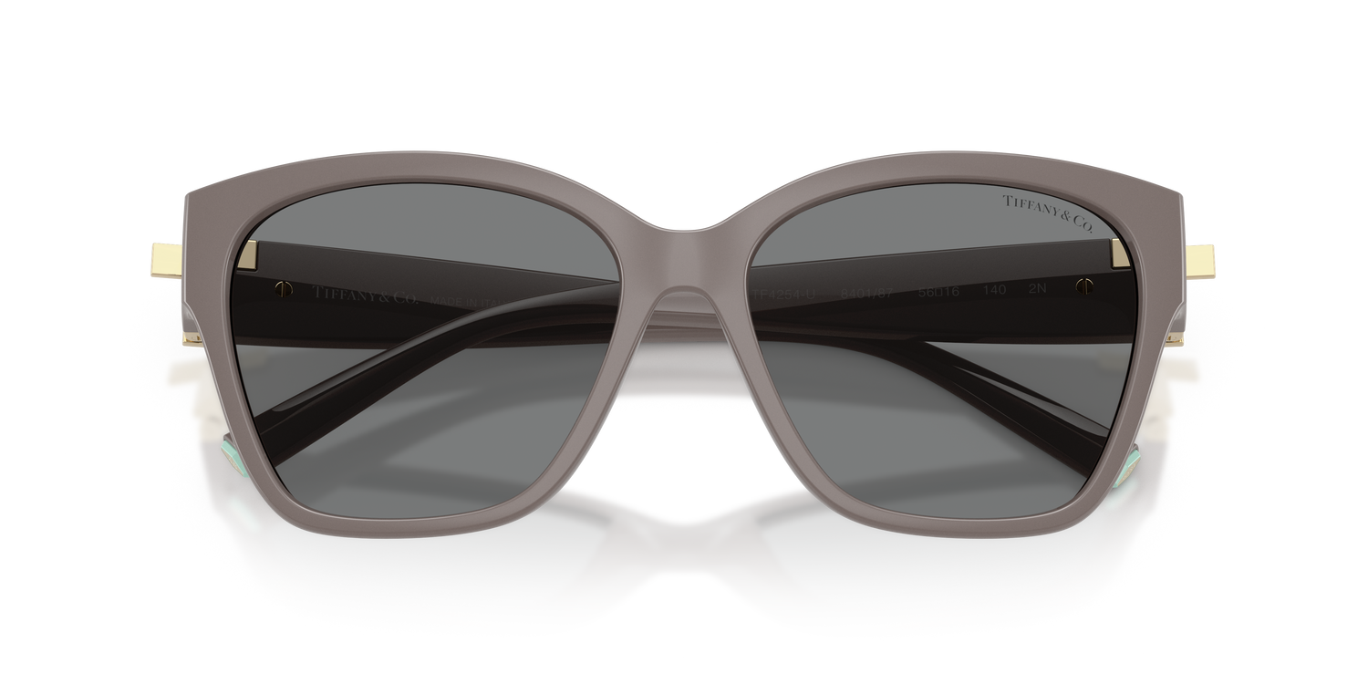 TIFFANY TF4254U 840187 56