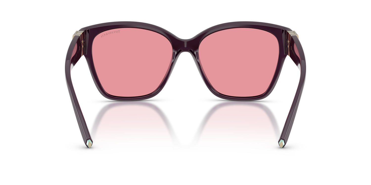 TIFFANY TF4254U 84279L 56