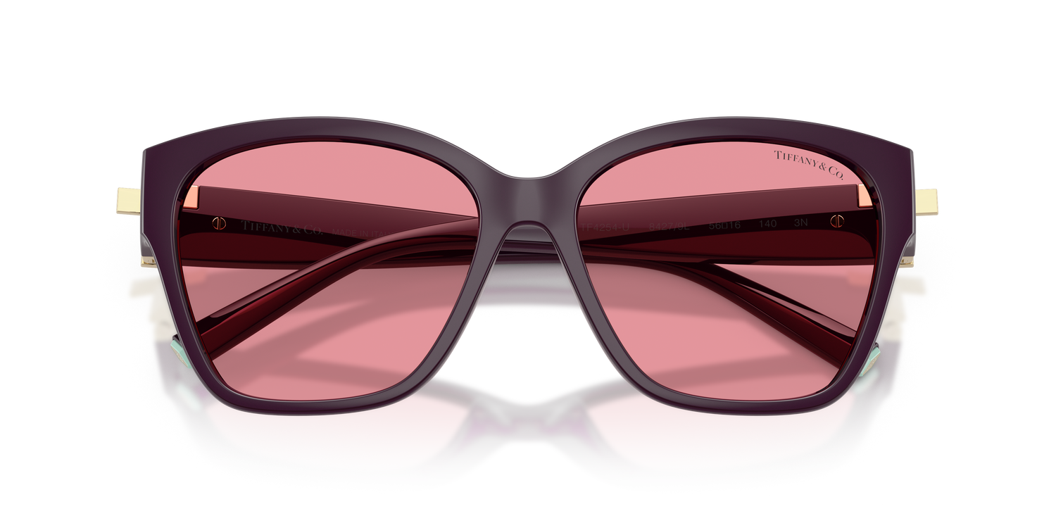 TIFFANY TF4254U 84279L 56