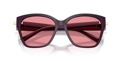 TIFFANY TF4254U 84279L 56