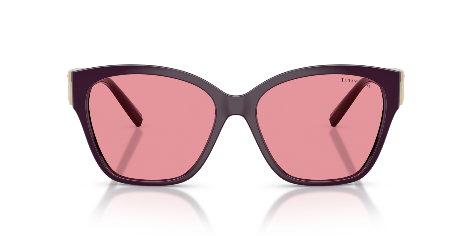 TIFFANY TF4254U 84279L 56